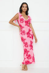 Ambrosia Mesh Maxi Dress Pink